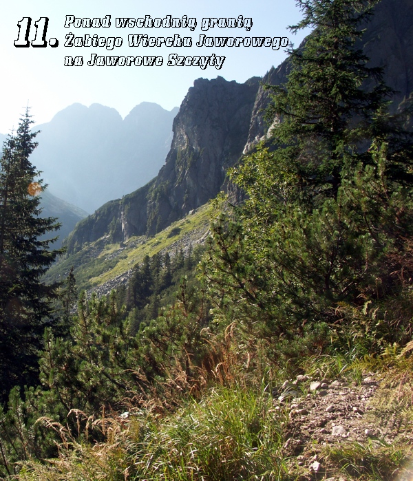 Dolina Zielona Jaworowa